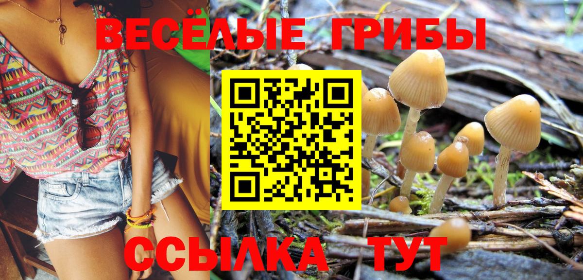 цена   Галлюциногенные грибы мухоморы  Вход с VPN  Спасск-Дальний  Галлюциногенные грибы GOLDEN TEACHER 